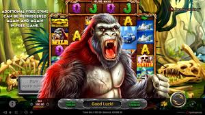 5 Game Tergacor di Provider Slot Spadegaming
